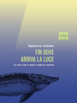cover image of Fin dove arriva la luce